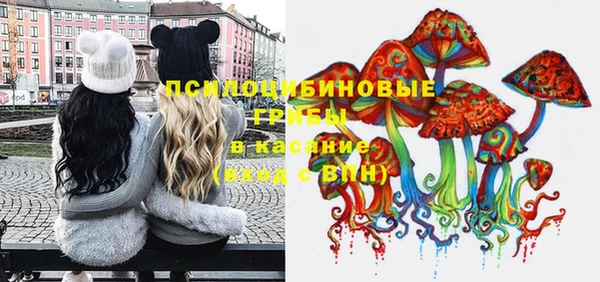 ешки Вяземский