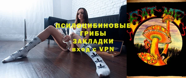 ешки Вяземский